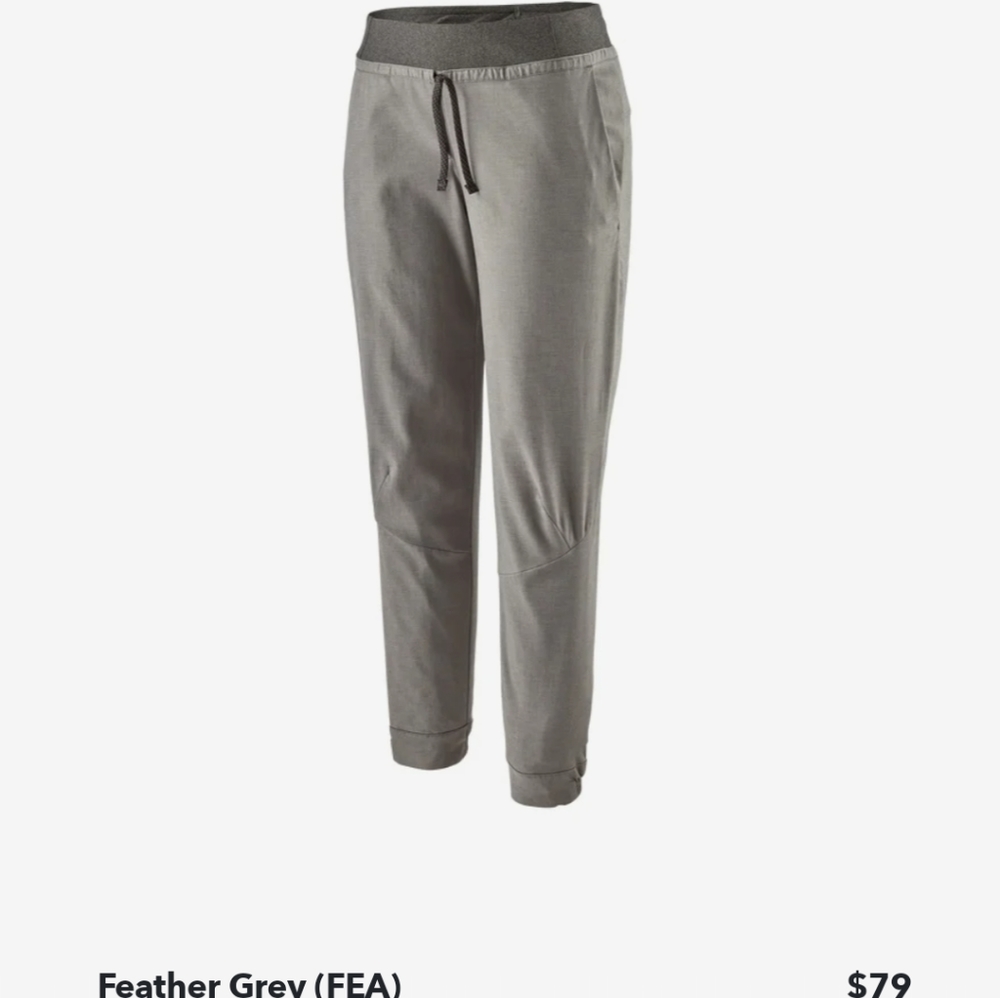 Patagonia Hampi Rock Pants
